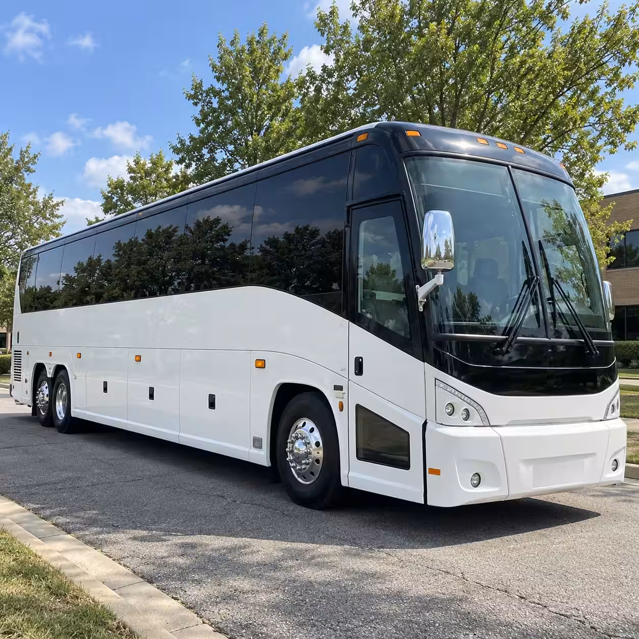 bronx zoo field trip bus rentals for school groups