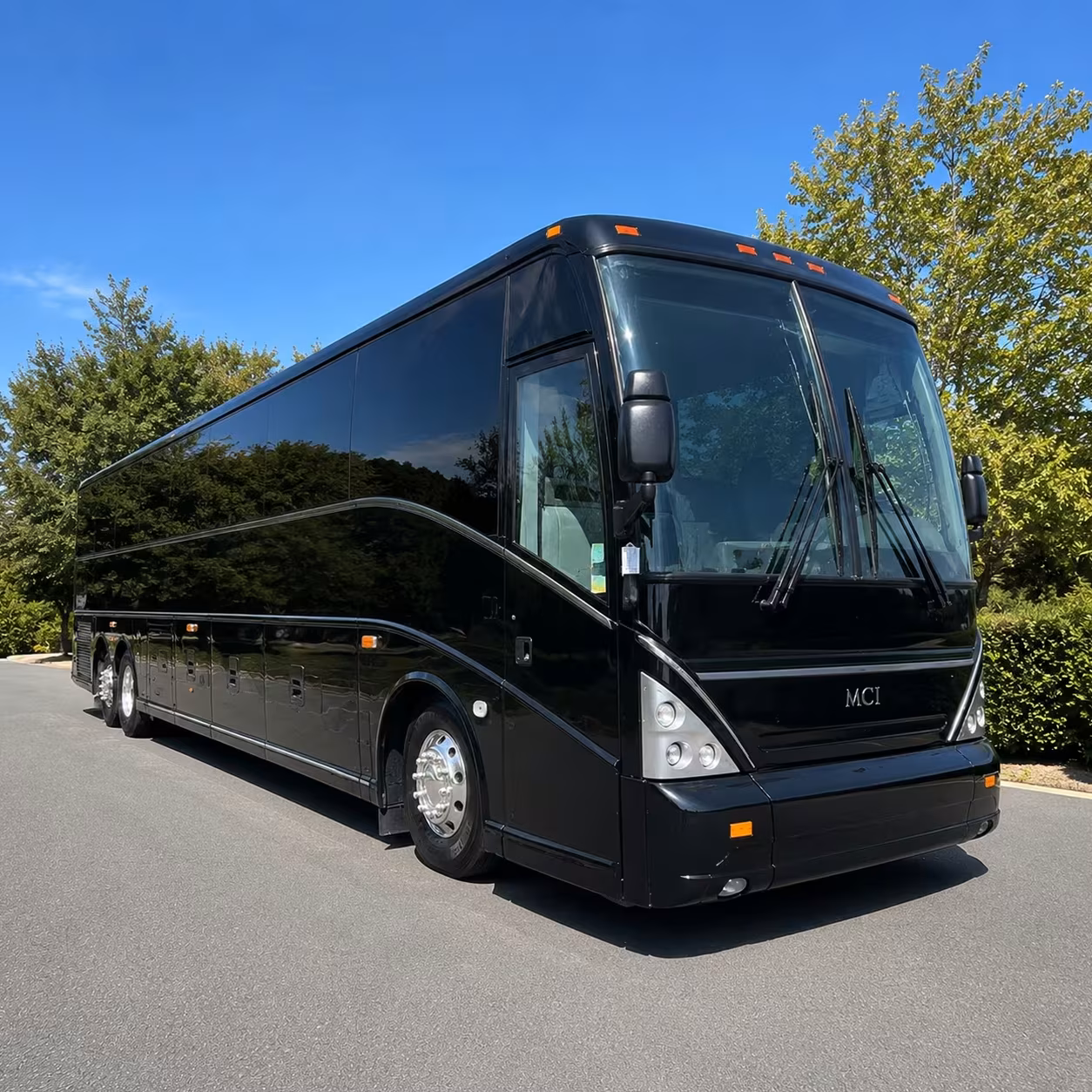 government and institutional transportation solutions in the bronx